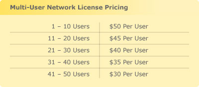 Multi-User Network License Pricing